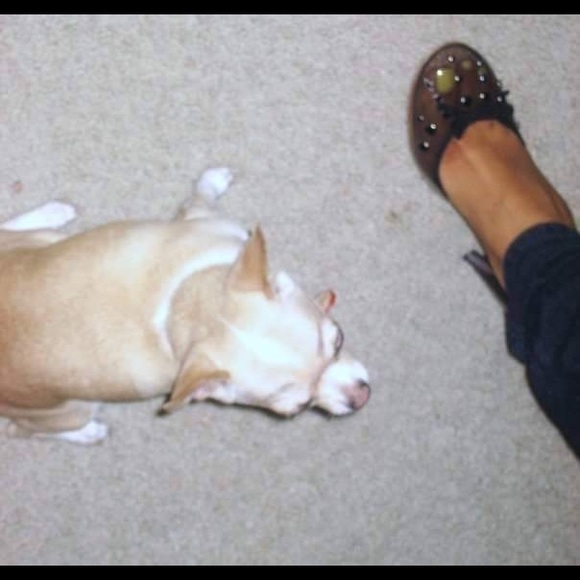 Marc Jacobs black Lucite Pumps with black gems 💎 - Picture 4 of 4